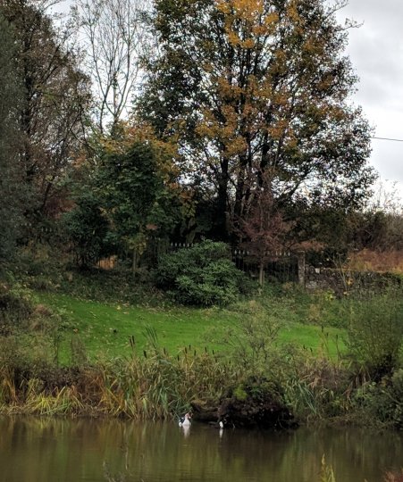 Autumn has arrived in all its glory at Carwinley  Retreat